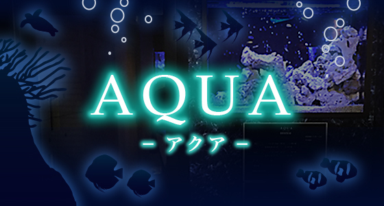 AQUA(アクア）の外観
