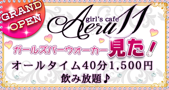 Aeru11