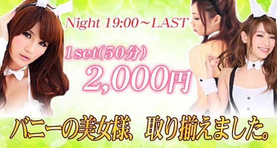 BGCバニーガールズコレクション