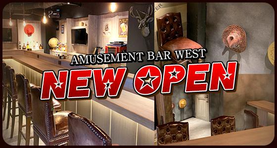 AMUSEMENT BAR WEST(アミューズメントバー ウエスト)の写真(東京都新宿区)