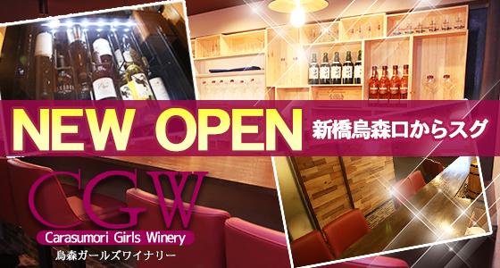 ガールズワイナリー烏森店